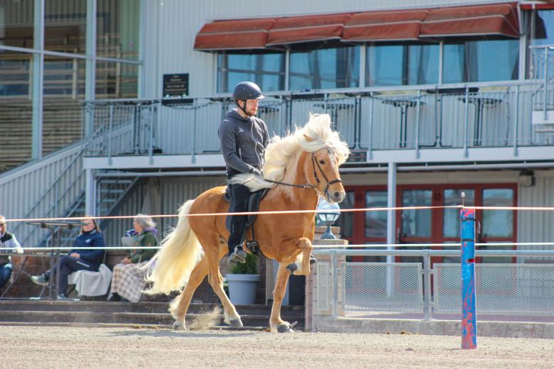 Romme: Drífandi högst bedömd – Bella fick 9,5 för helhetsintryck