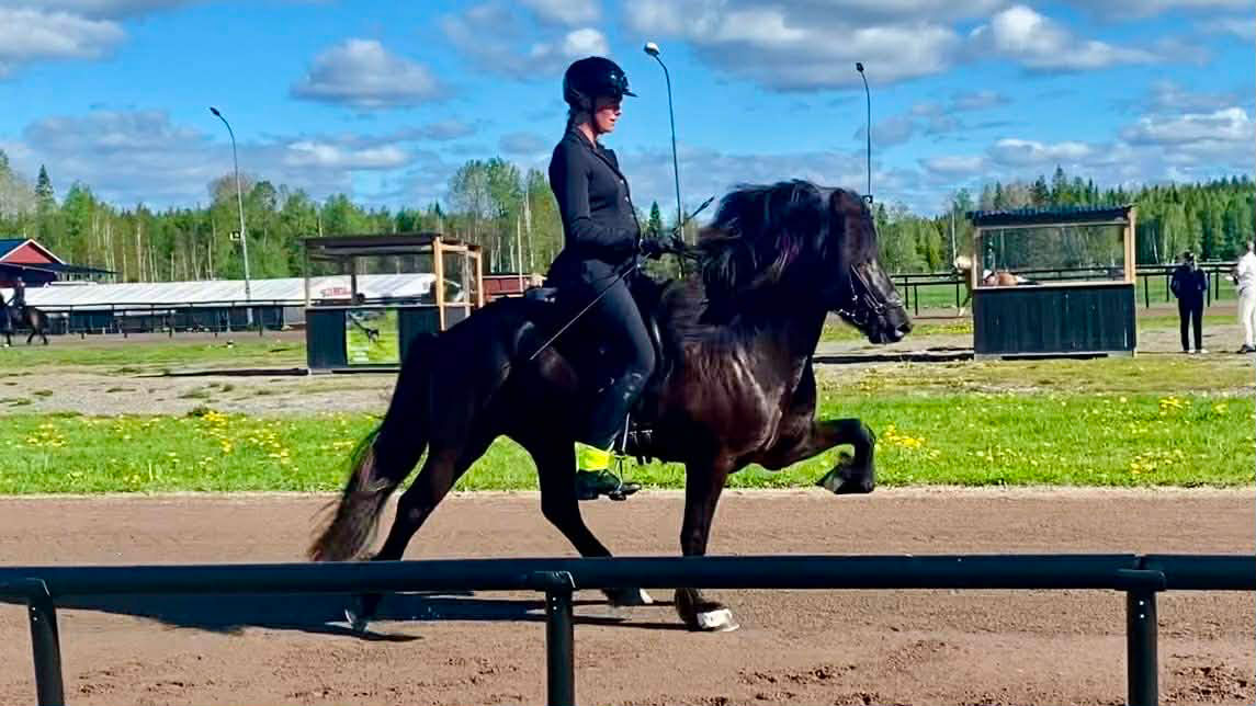 Elsa-kolskeggur