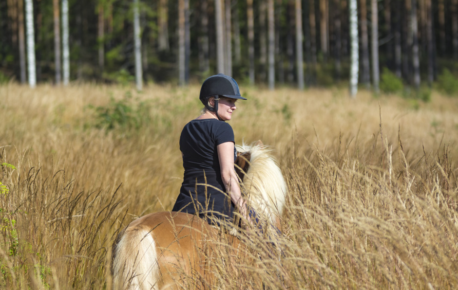Veterinären: ”Ge hästen aktiv återhämtning”