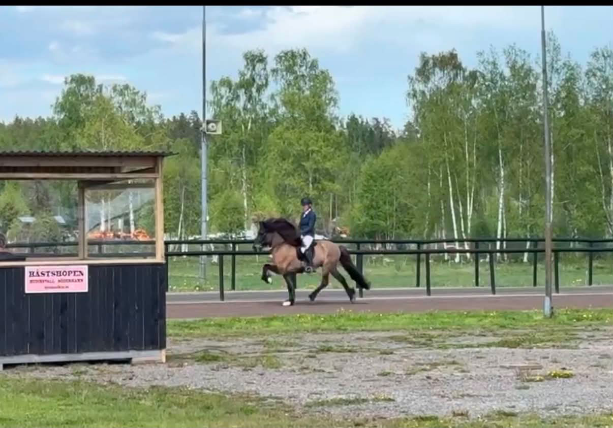 Linnea-berserkur