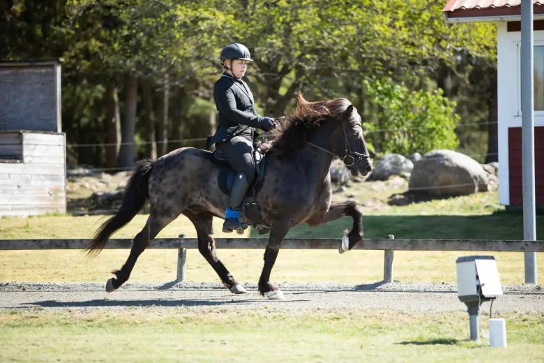 Malin Wikander och Rocky tog hem T1-finalen på Toftinge