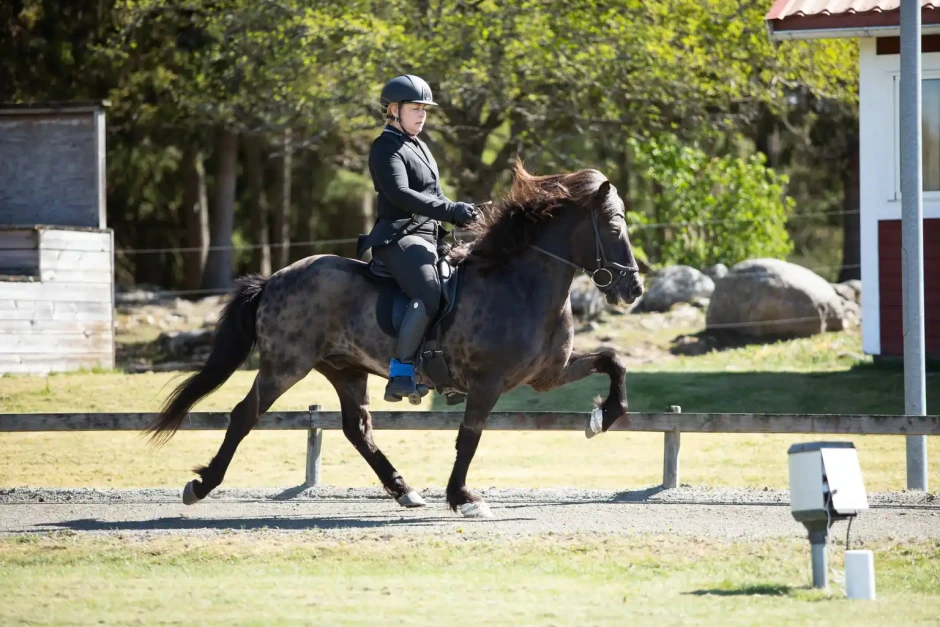 Malin Wikander och Rocky tog hem T1-finalen på Toftinge
