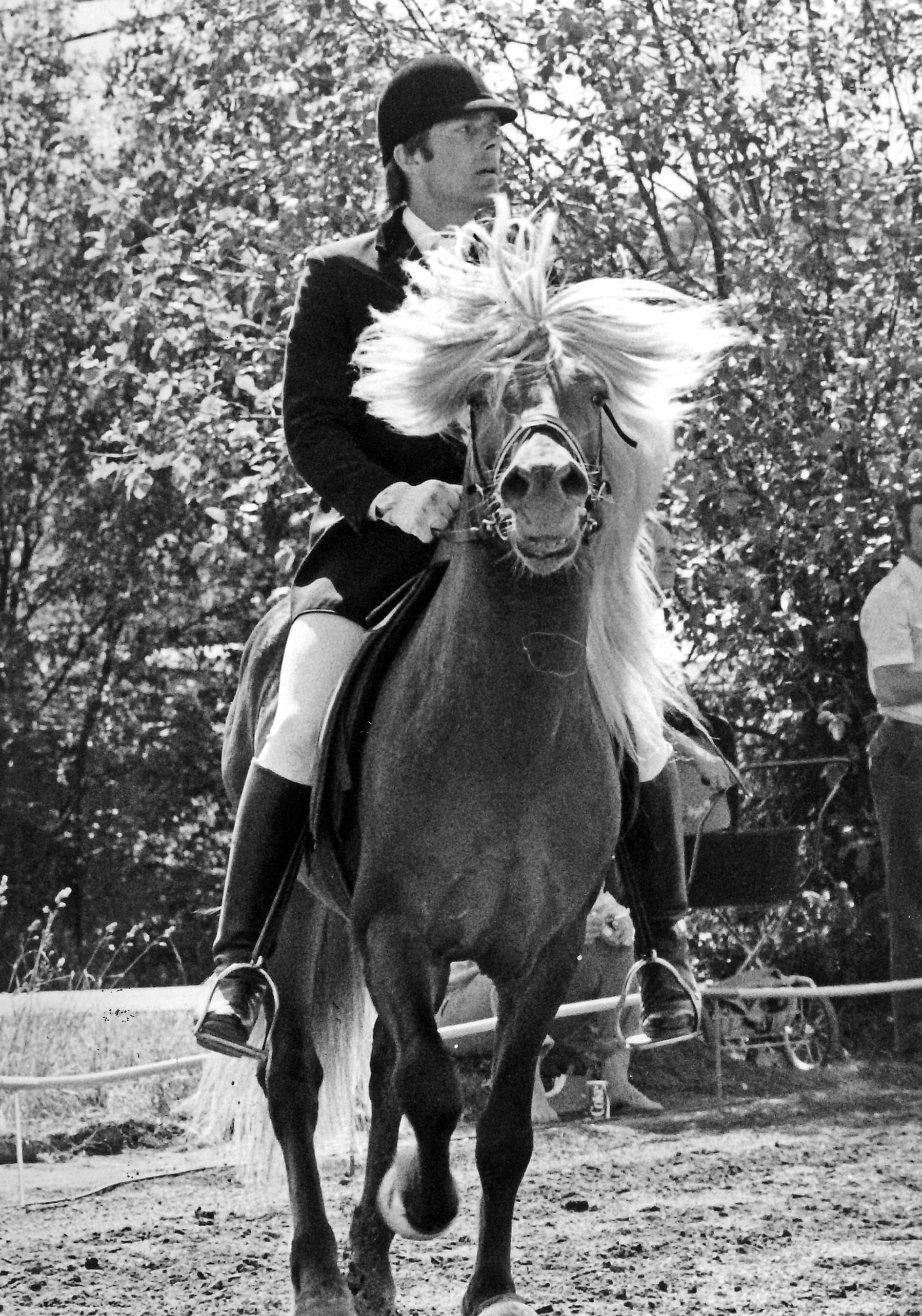 Peter Mesch P Lysingur Tog Flest Sm-segrar 1983 I Bors Foto: Bors-bild