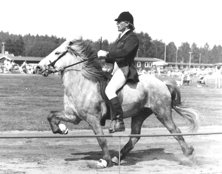 Svensk islandshästsport har förlorat en av sina tidiga profiler