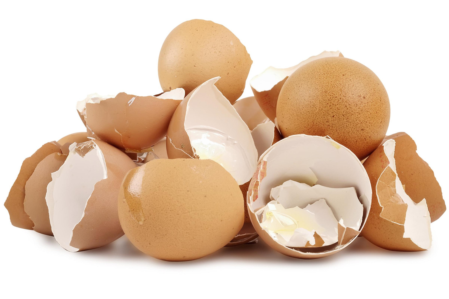 Istock511933158-1536x1024