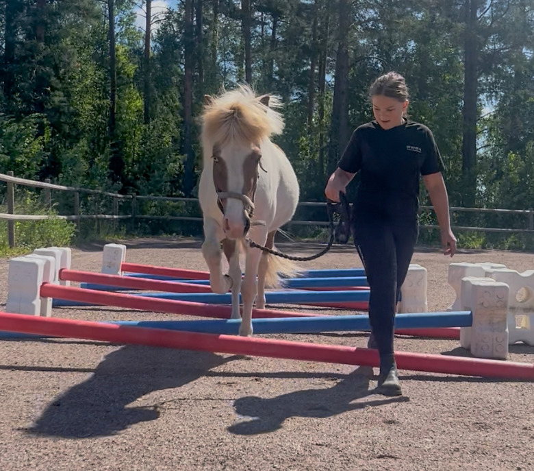 Stärk hästens proprioception: Bålstyrka och stabilitet