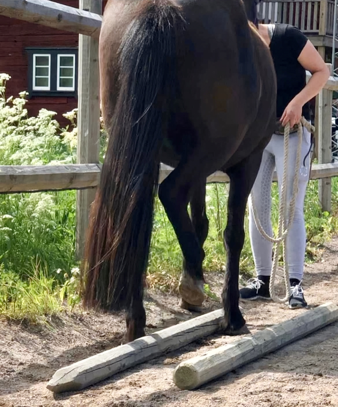 Grenslabom2_foto_privat