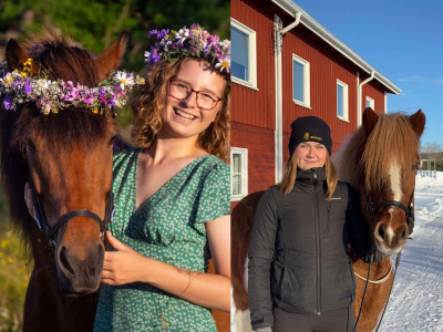 Hippologtiteln attraktiv: ”Vi borde värdera utbildning högre”