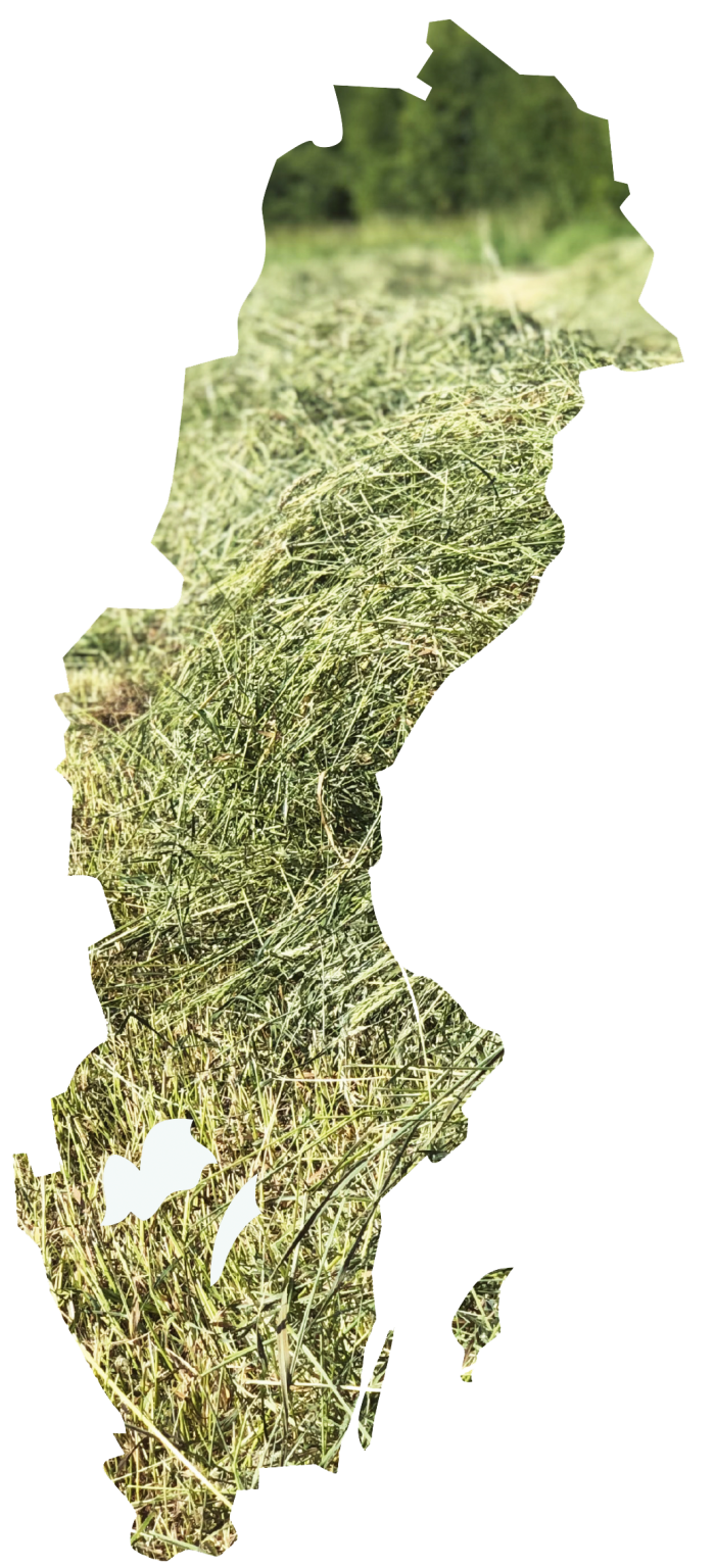 Hosverige-700x1536