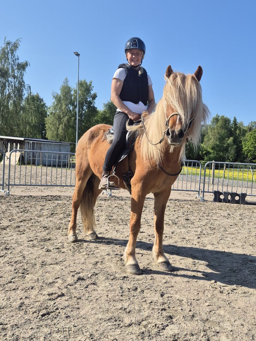 Unghästutbildaren: ”Inridning har mycket med arbetet från marken att göra” 