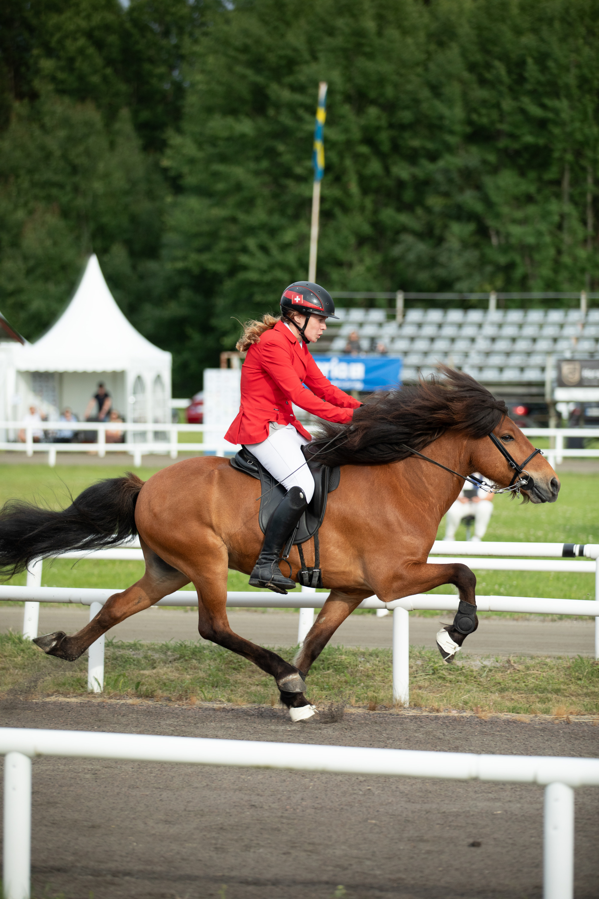Josephine Willoiams Ler Fra Valhöll