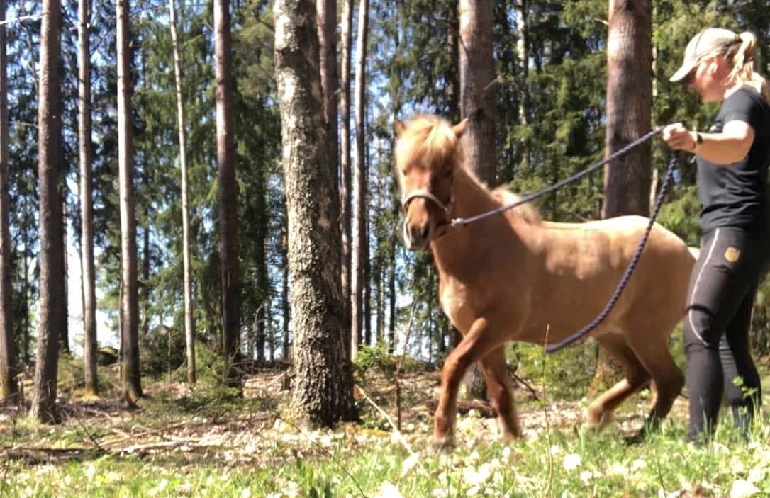 Utiskogen_foto_privat
