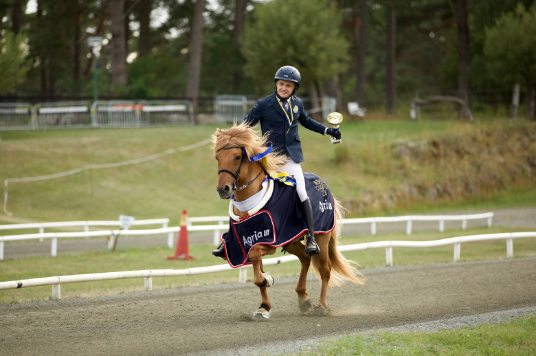 Svenskt medaljregn fortsätter – trippel i GDYA och dubbla medaljer i GDT