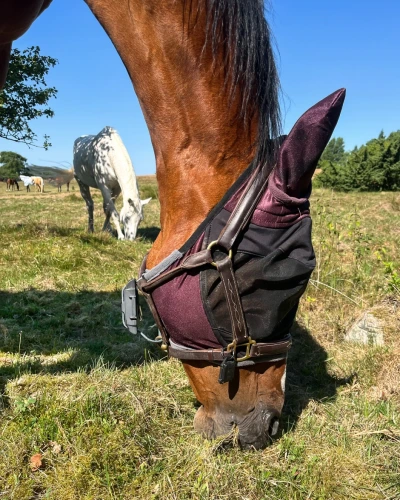 Enkelt att hålla koll på hästen i hagen