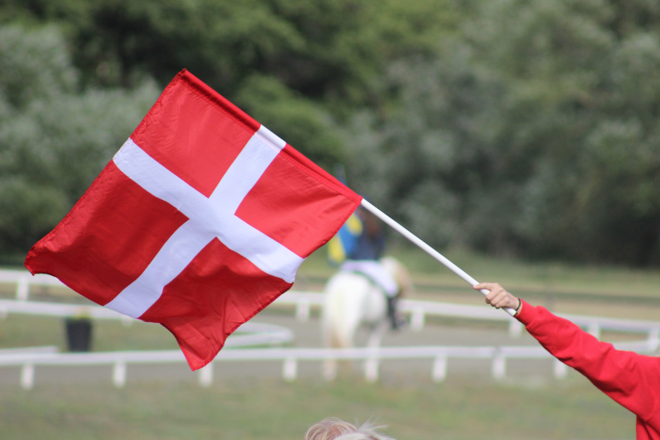 Fortsatt frågetecken efter sjukdomsfallen på NM