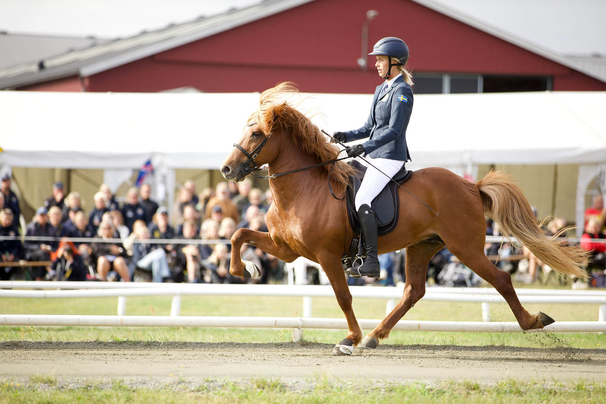 Josefin-berikebro-kjarval-fr&aring;n-knutshyttan