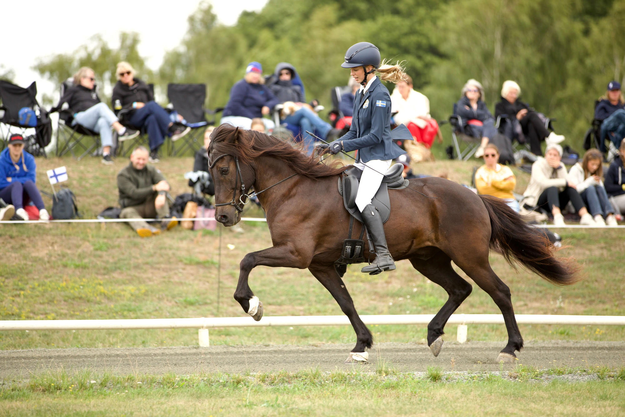 Lara-gardarsdottir-hesselman-alfur-fr&aring;n-knutshyttan