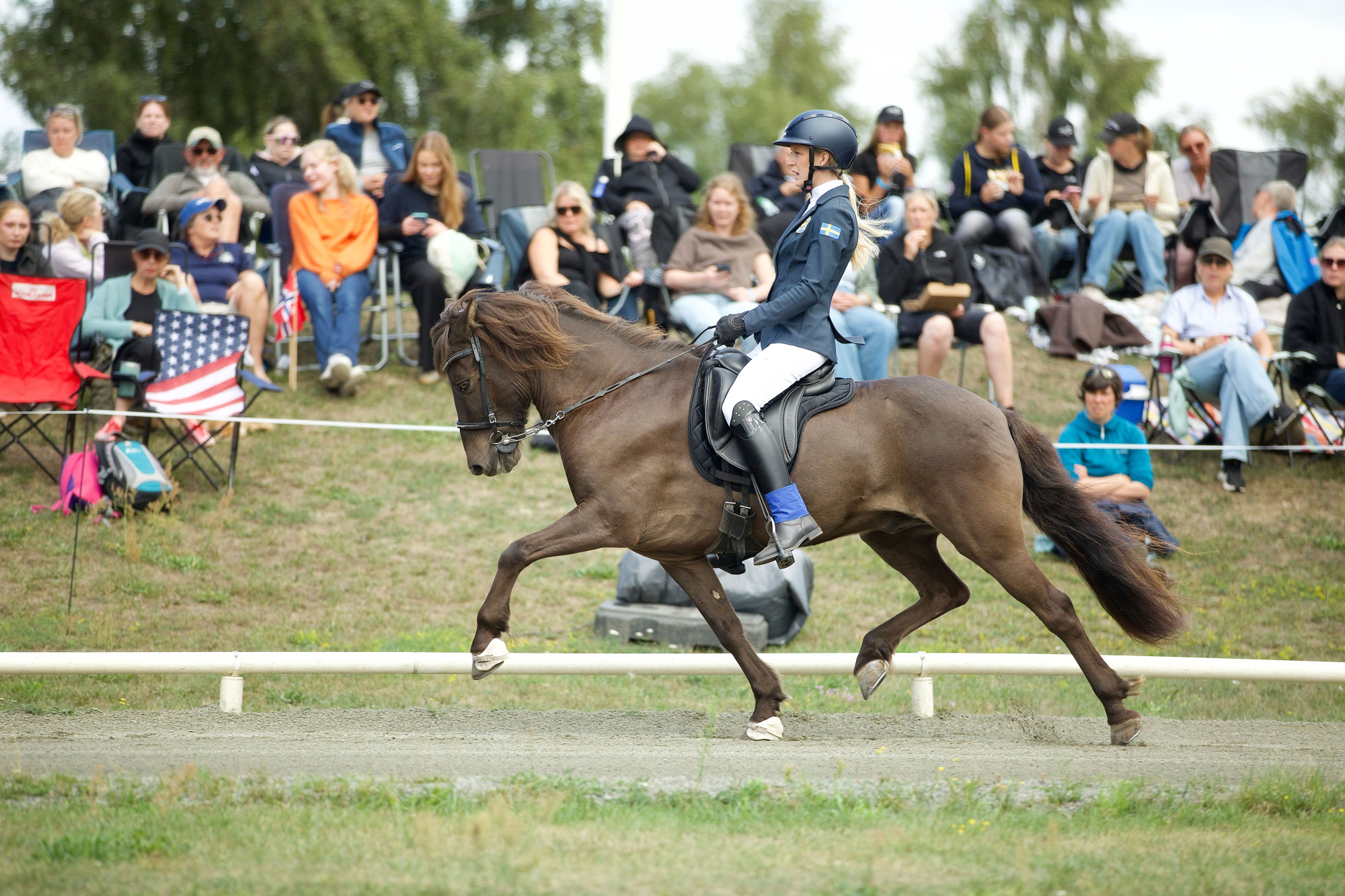 Paloma-eklund-andersson-tang&oacute;-fr&aring;n-zimsen