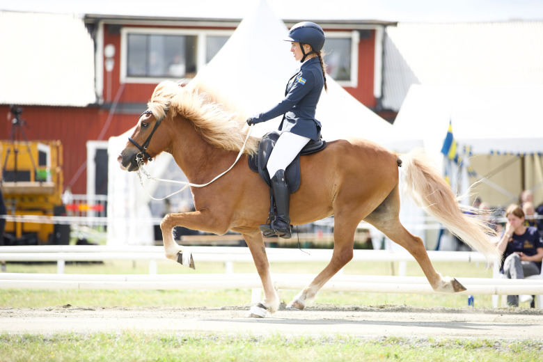 Svenskt medaljhopp lever vidare: ”Vi kunde inte ha gjort det bättre”