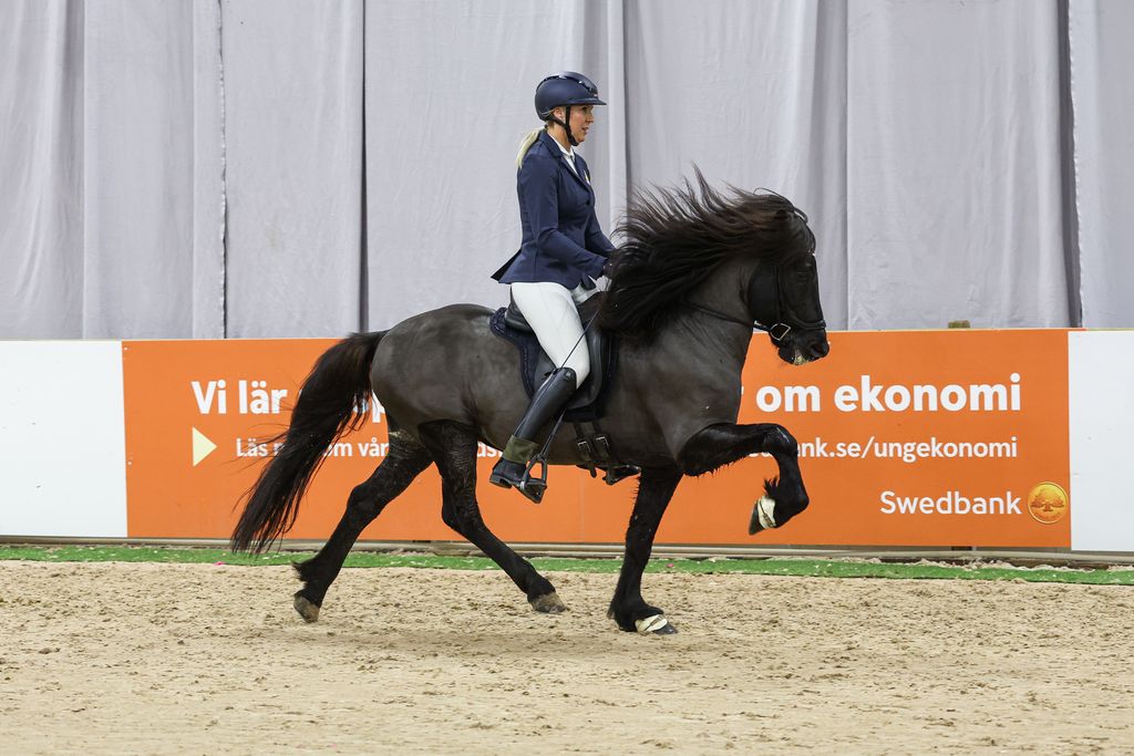 Madelen Johansson - Sjarmi Fr&aring;n Kristineberg
